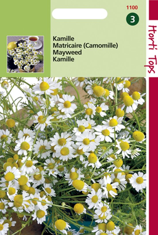 Chamomile (Matricaria recutita) 2500 seeds HT